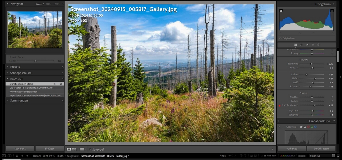 Screenshot 2024-09-15 110653.jpg