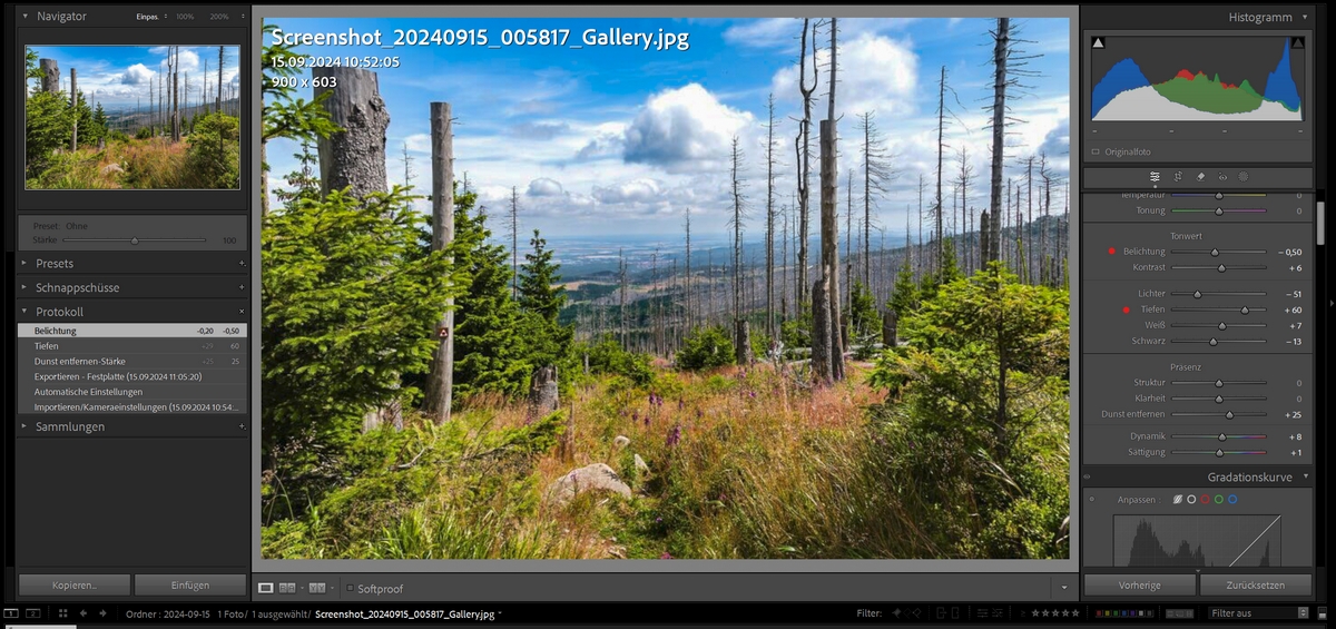 Screenshot 2024-09-15 112428.jpg