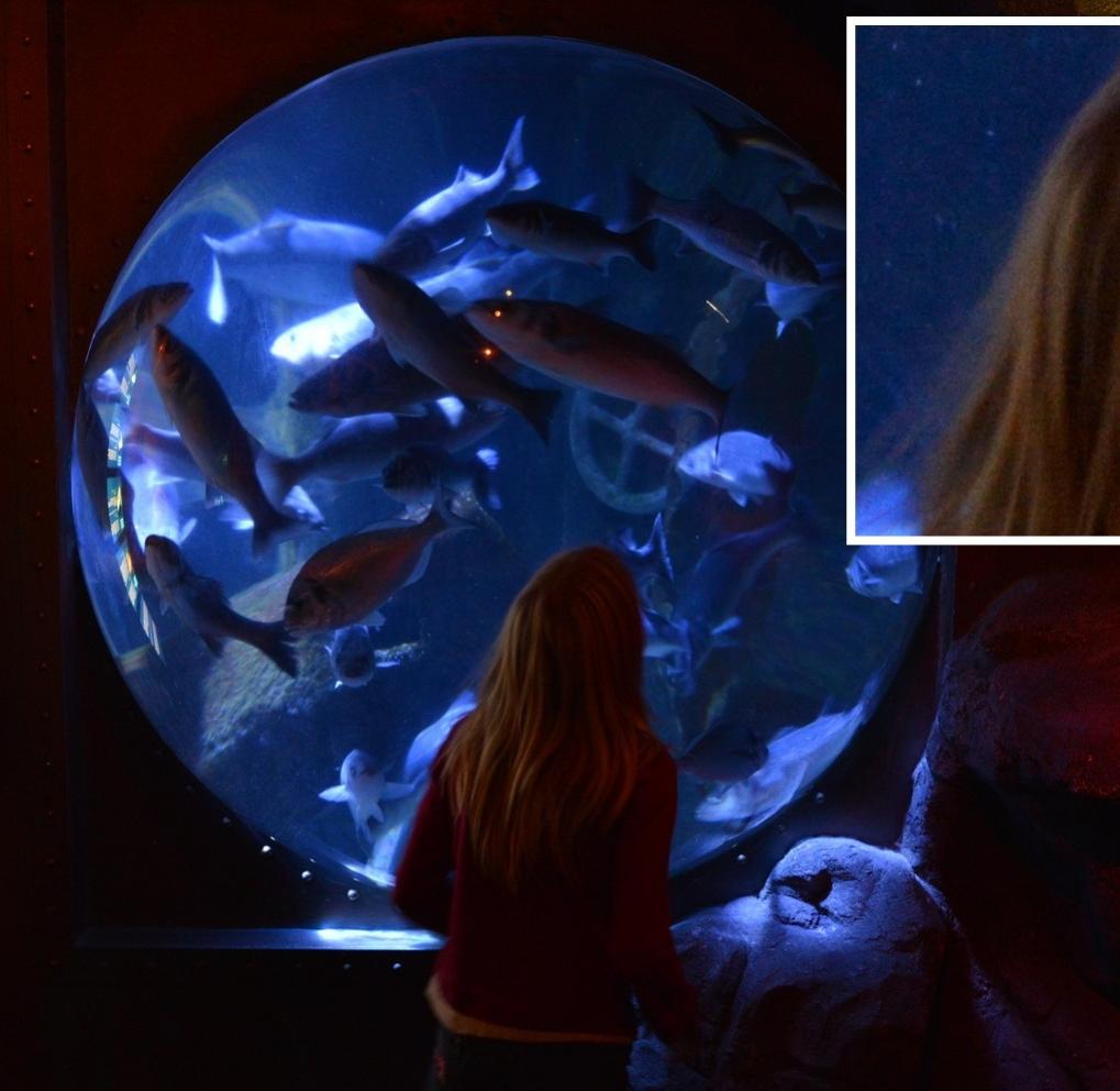 SeaLife