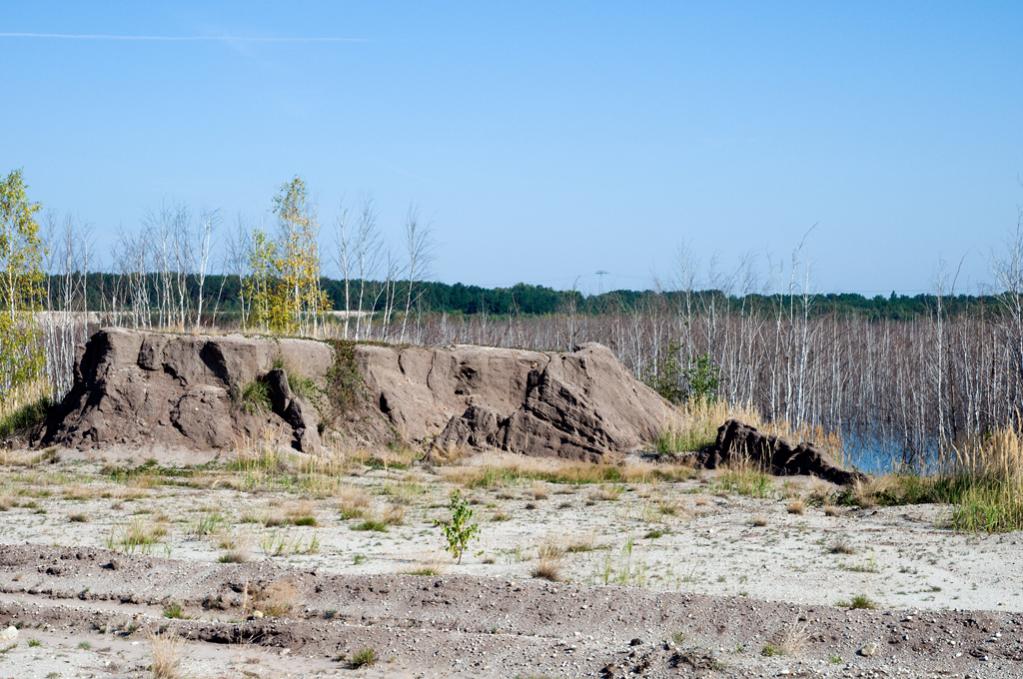 Sedlitzer See -erodierte Kippenflächen