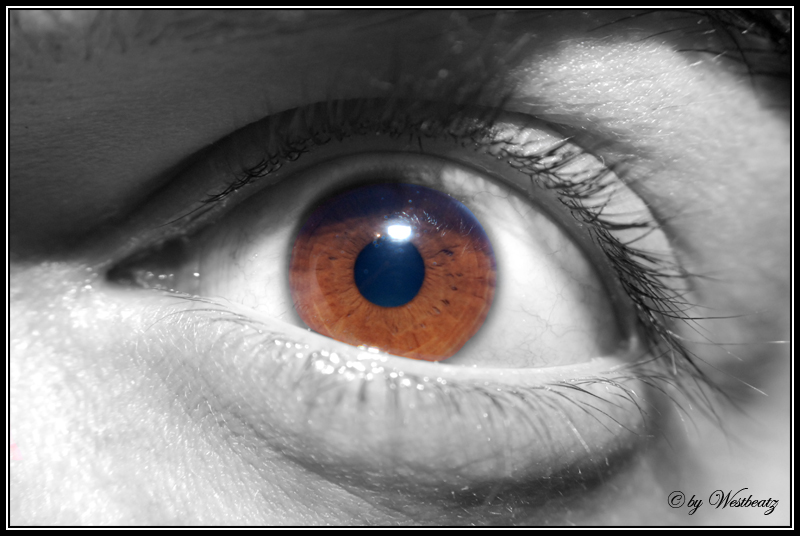 Sedu eye