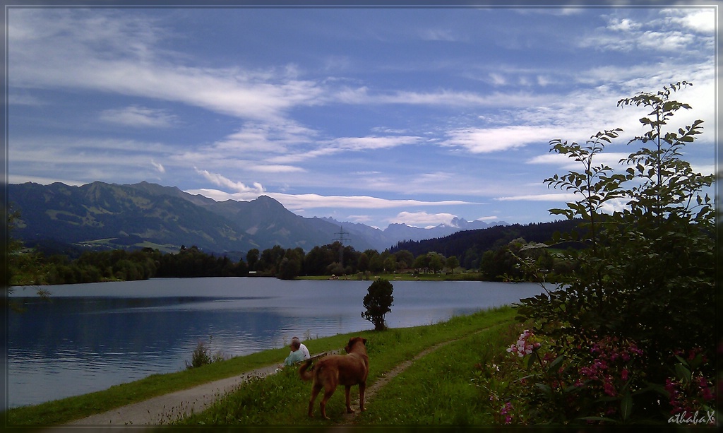 Seeblick 3