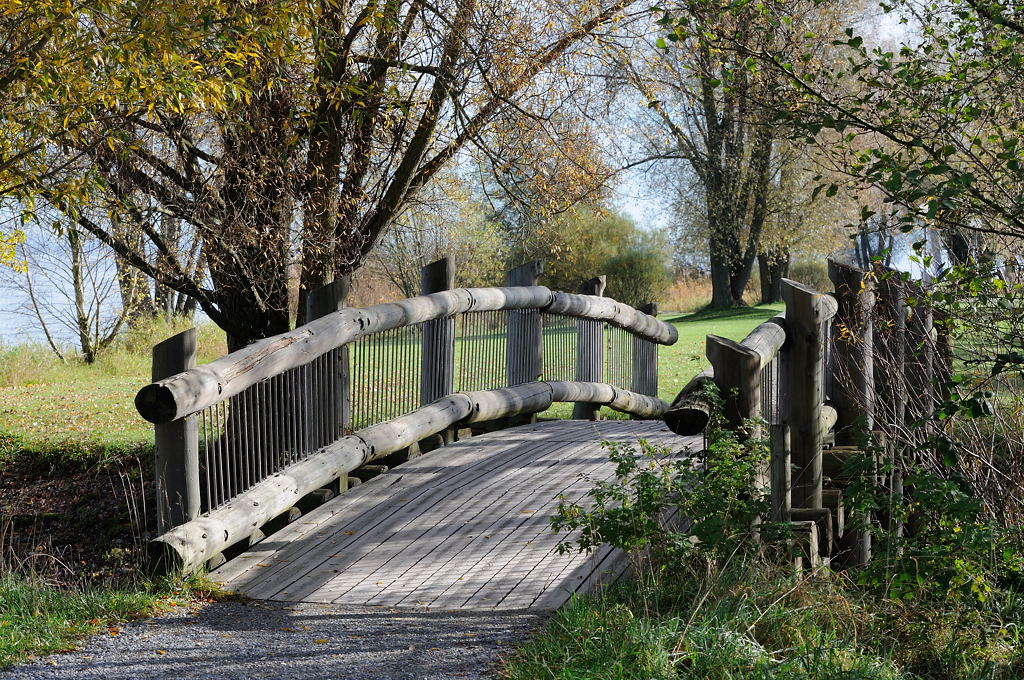 Seeburgpark, Kreuzlingen, Bodensee
DSD 6002