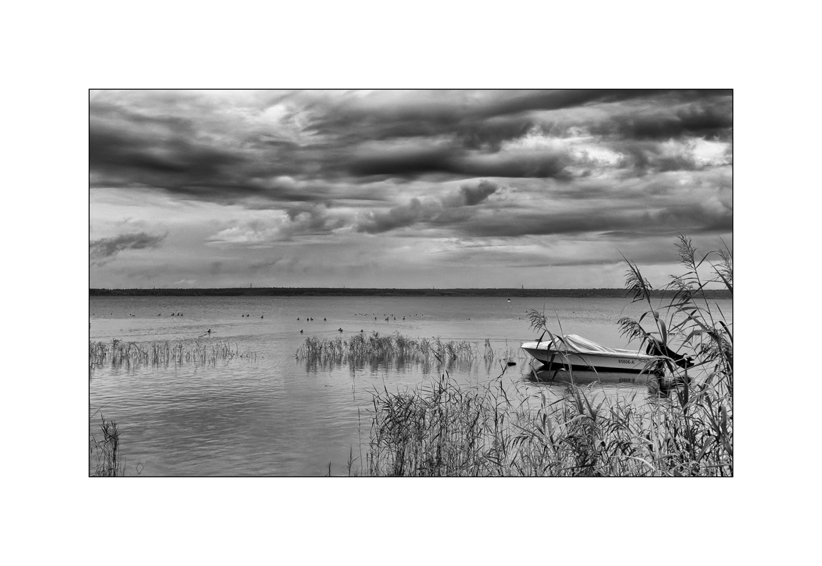 SeeIMG_2344.jpg