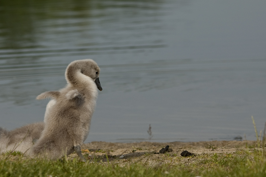 Seepark Lünen 06/10