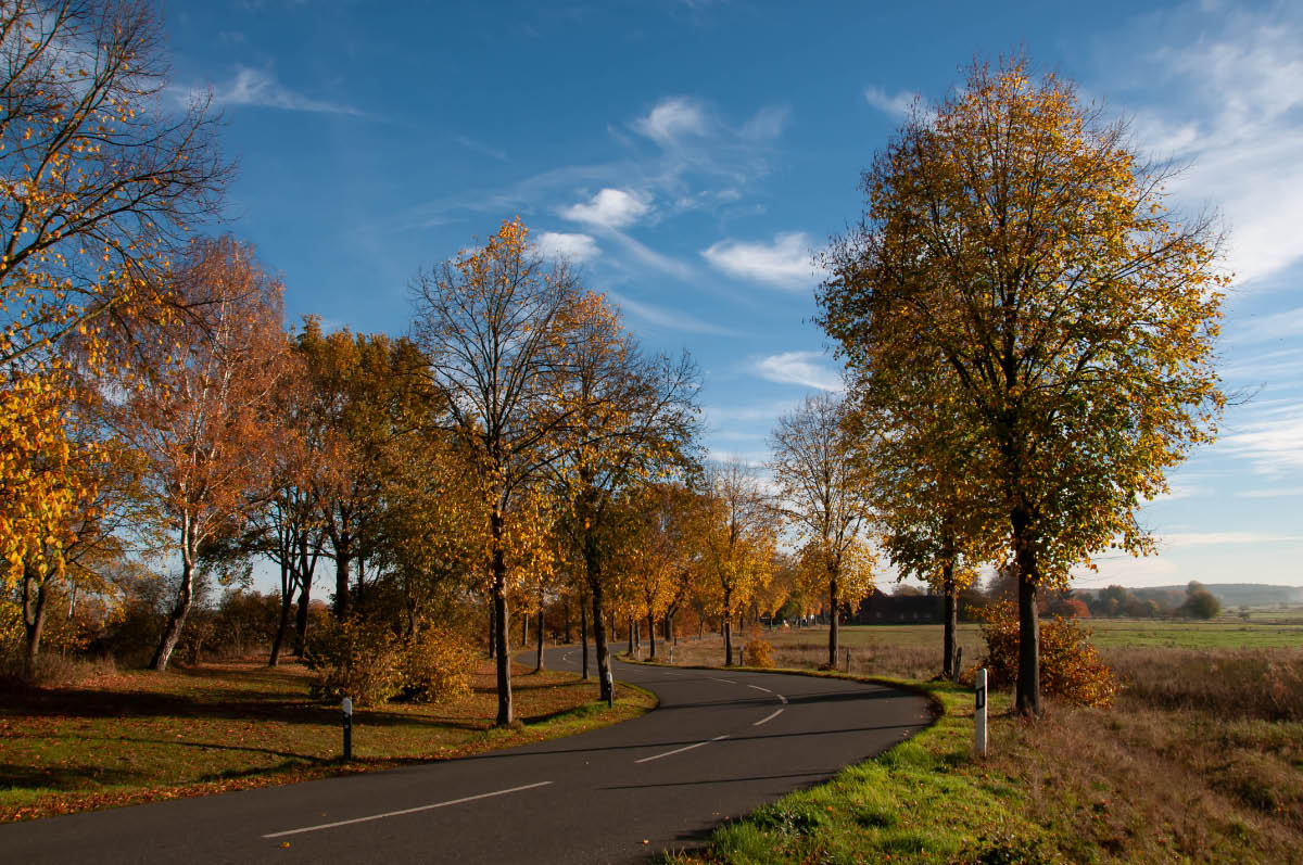 Seewiesen 0943.jpg