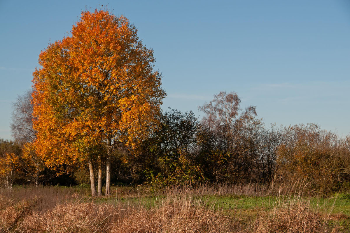 Seewiesen 1044.jpg