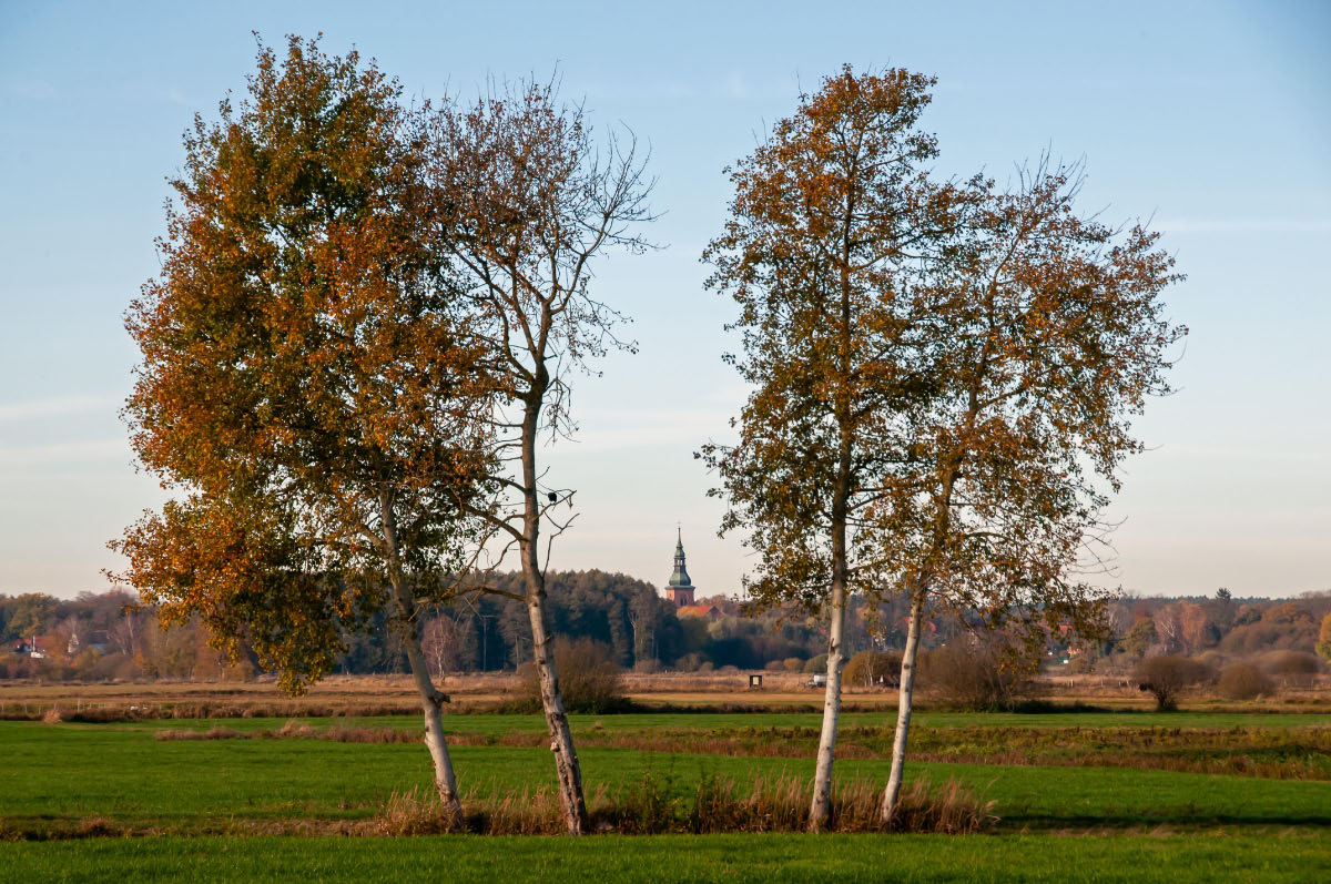 Seewiesen 1051.jpg