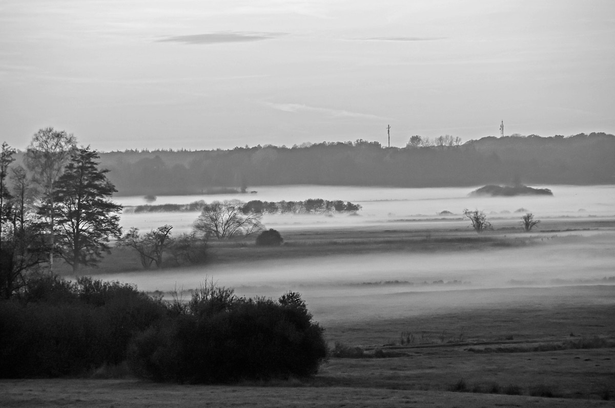 Seewiesen 1625_bearbeitet-BW.jpg