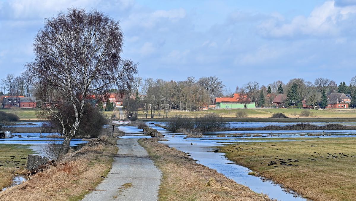 Seewiesen 2.jpg