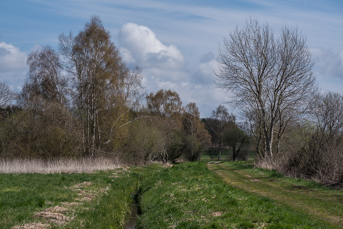 Seewiesen 4 (1 von 1).jpg