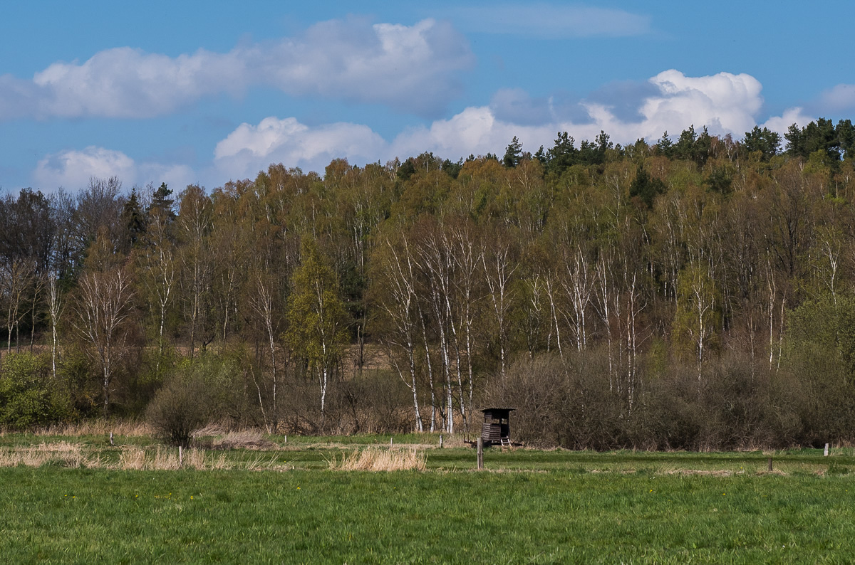 Seewiesen 9 (1 von 1).jpg
