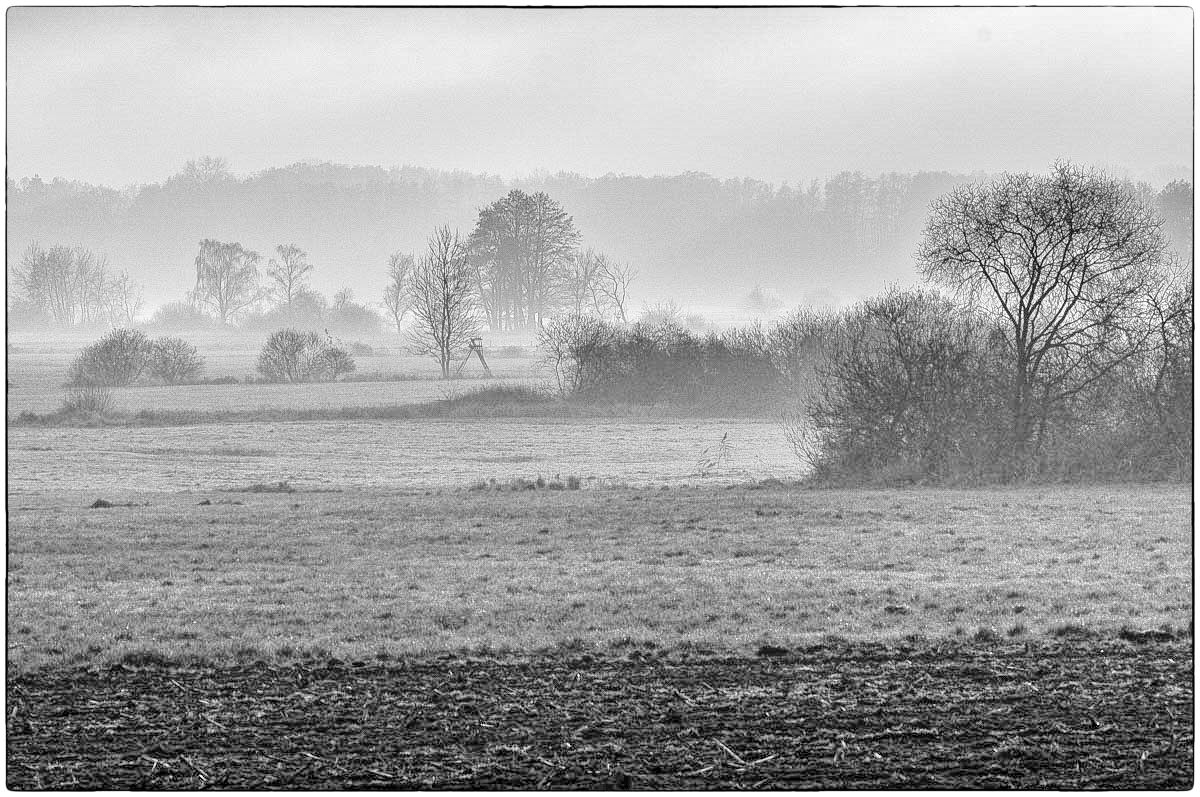 Seewiesen BW (1 von 1).JPG