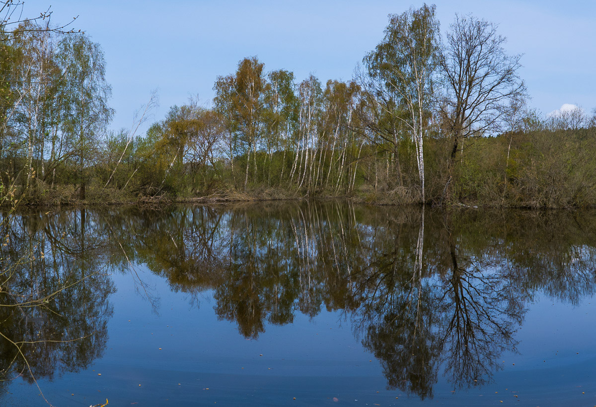 Seewiesenteich (1 von 1).jpg