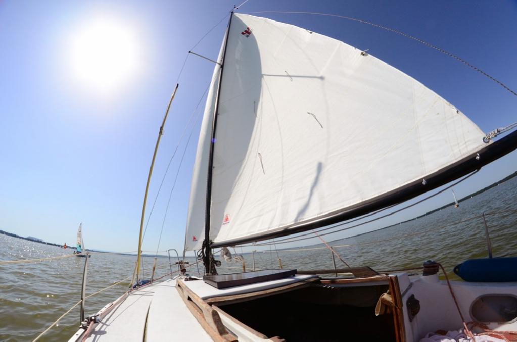 Segeltörn am Steinhuder Meer