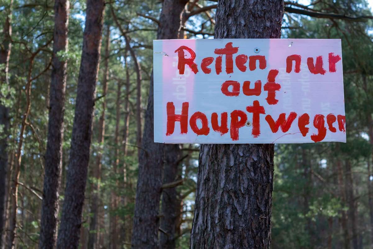 Selbstgeschrieben.jpg