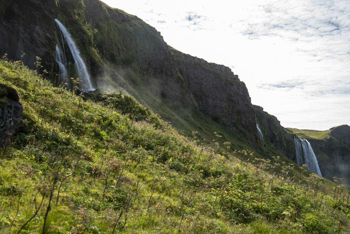 Seljalandsfoss und Brüder.jpg
