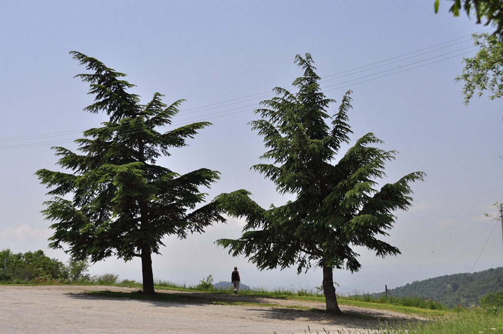 seltsame "Neigung" (übert dem Lago Trasimeno)