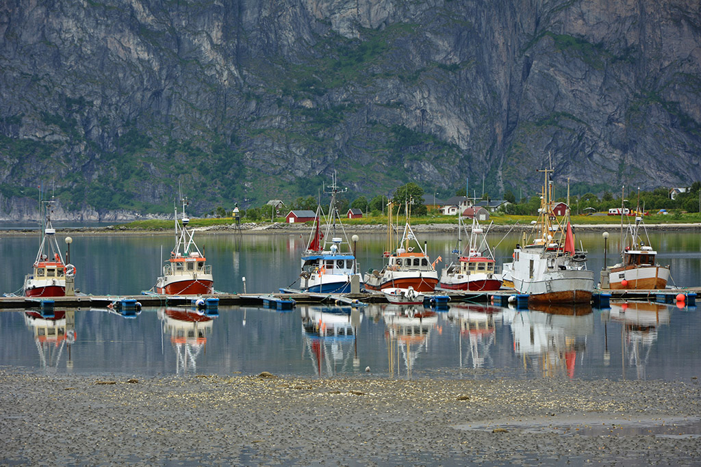 Senja