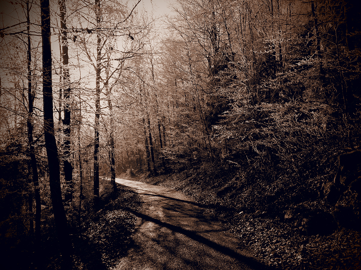 Sepia.jpg