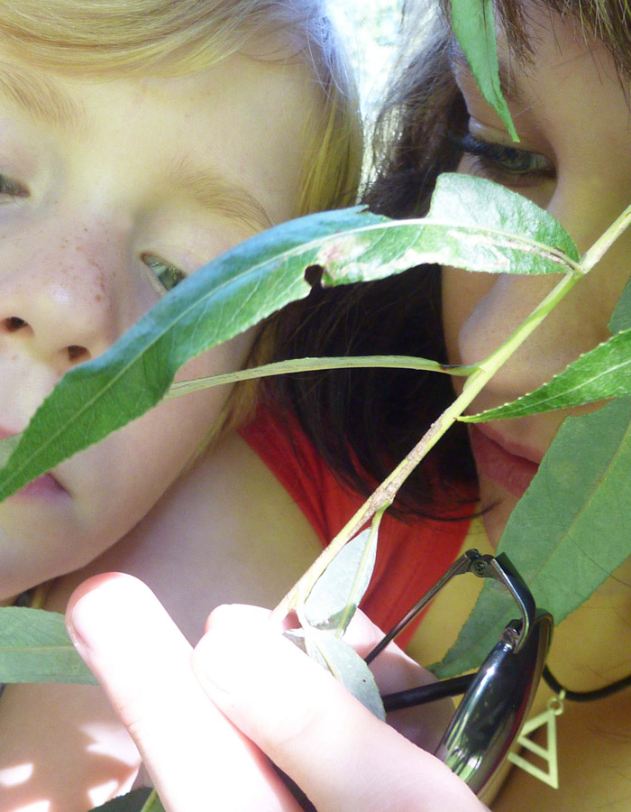 September 2010 / entdecken