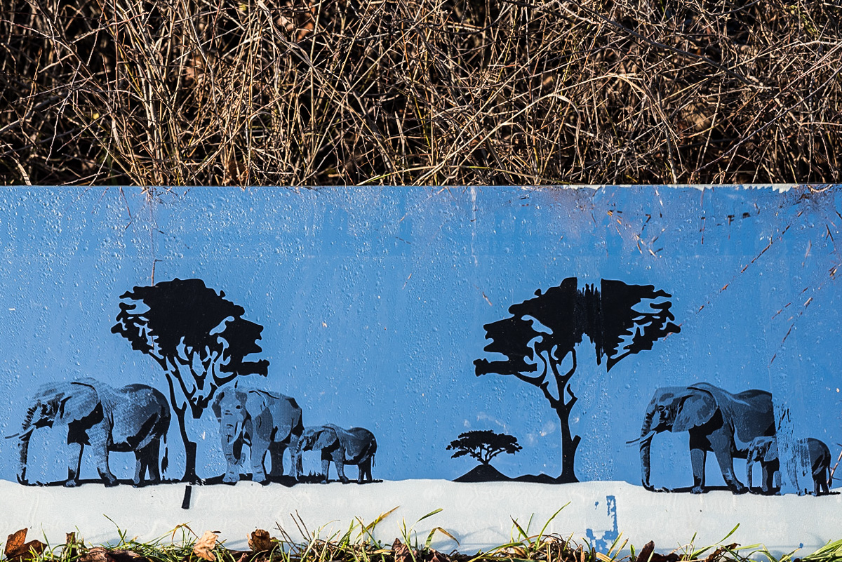 Serengeti (1 von 1).JPG