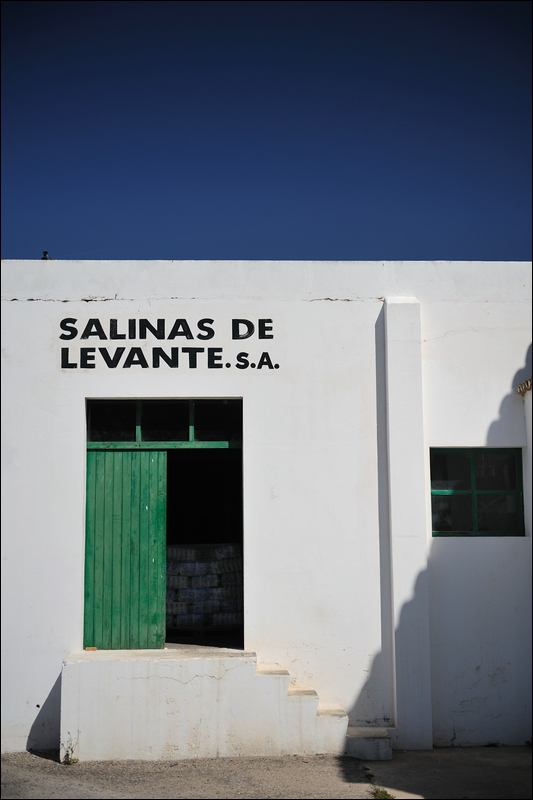 Ses Salines