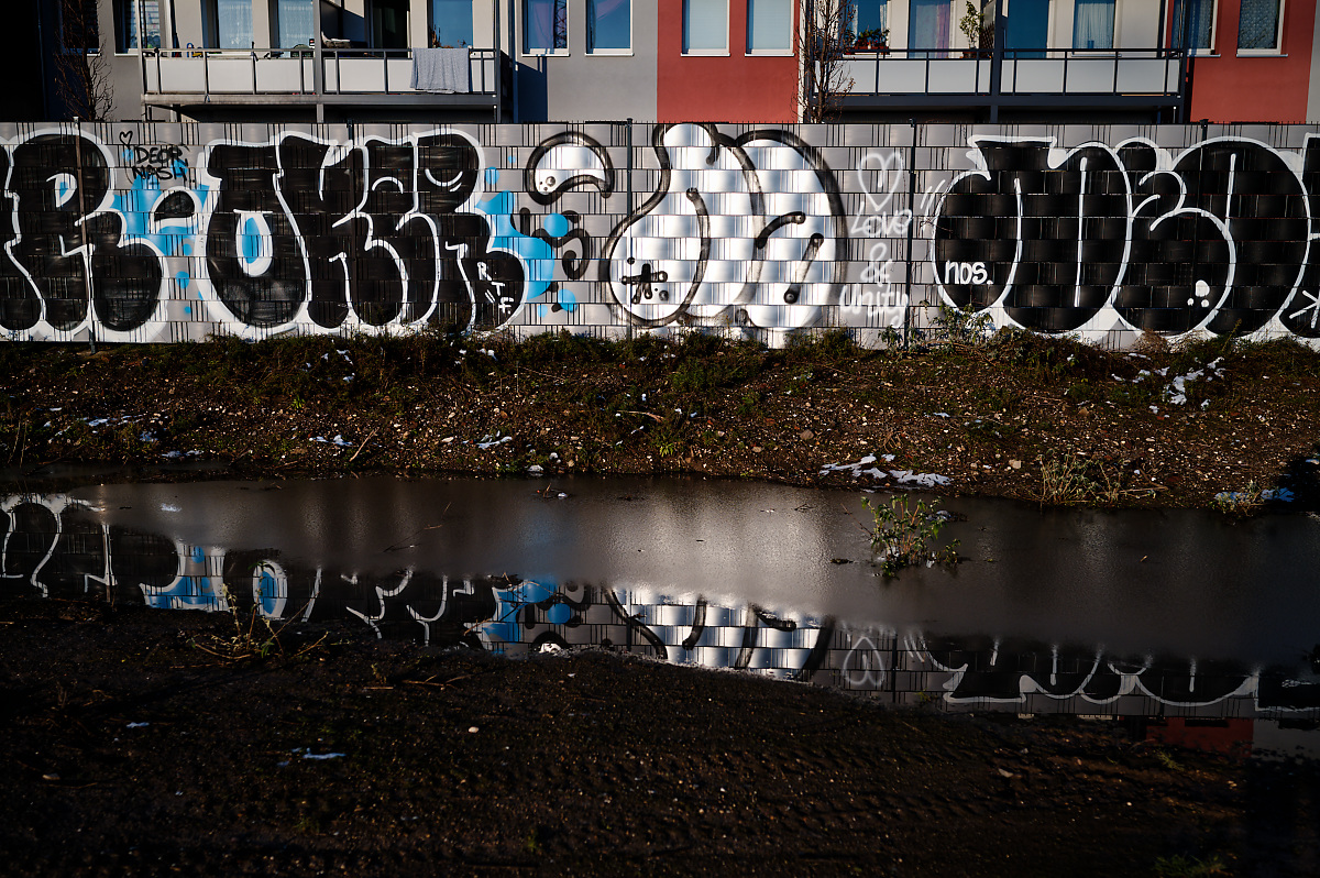SF2_0867.jpg