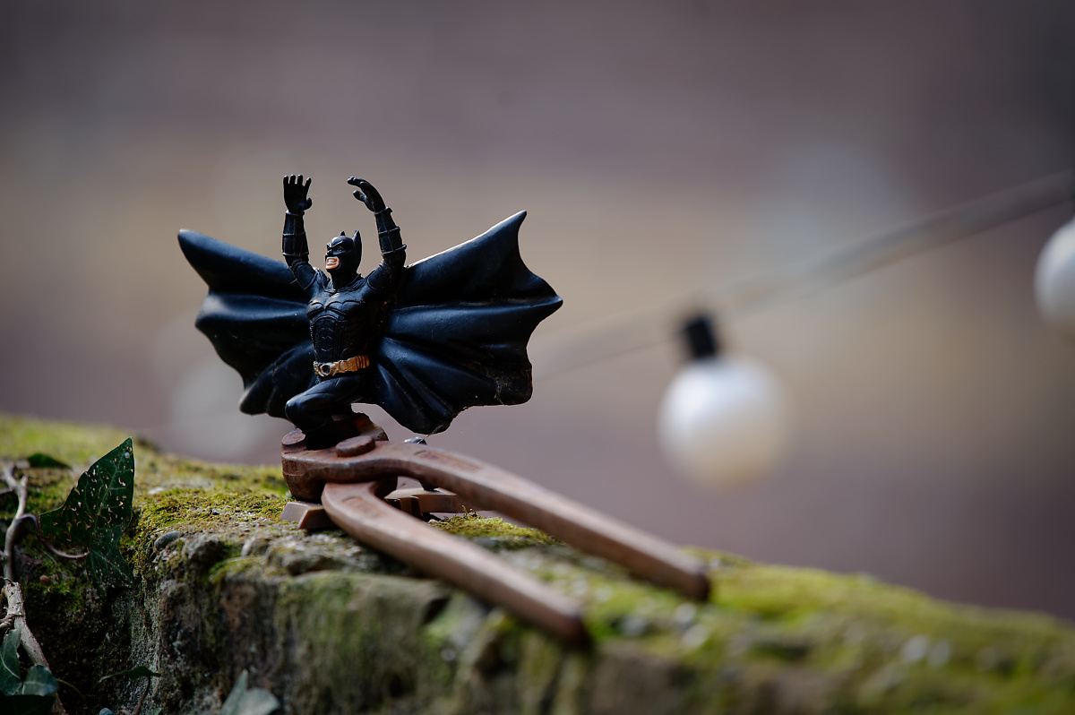 SF2_1021_DxO.jpg