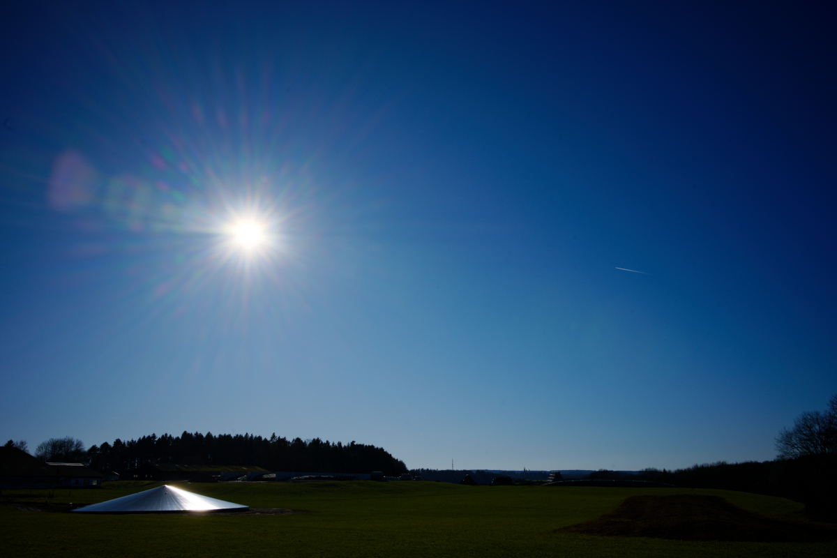 SF7_2451.jpg