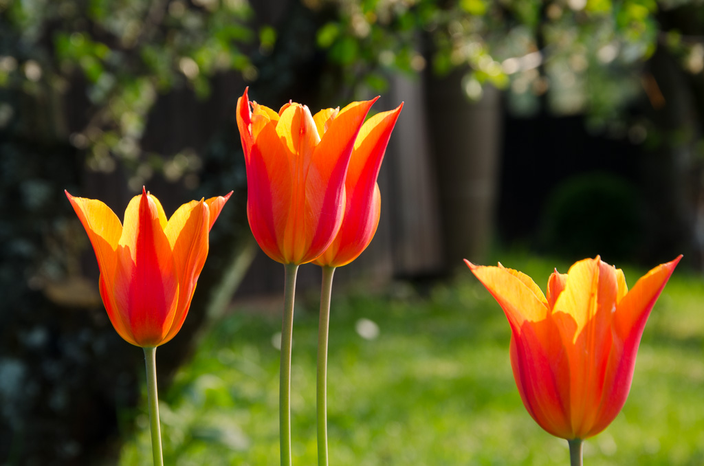 SH 20130505 2548
