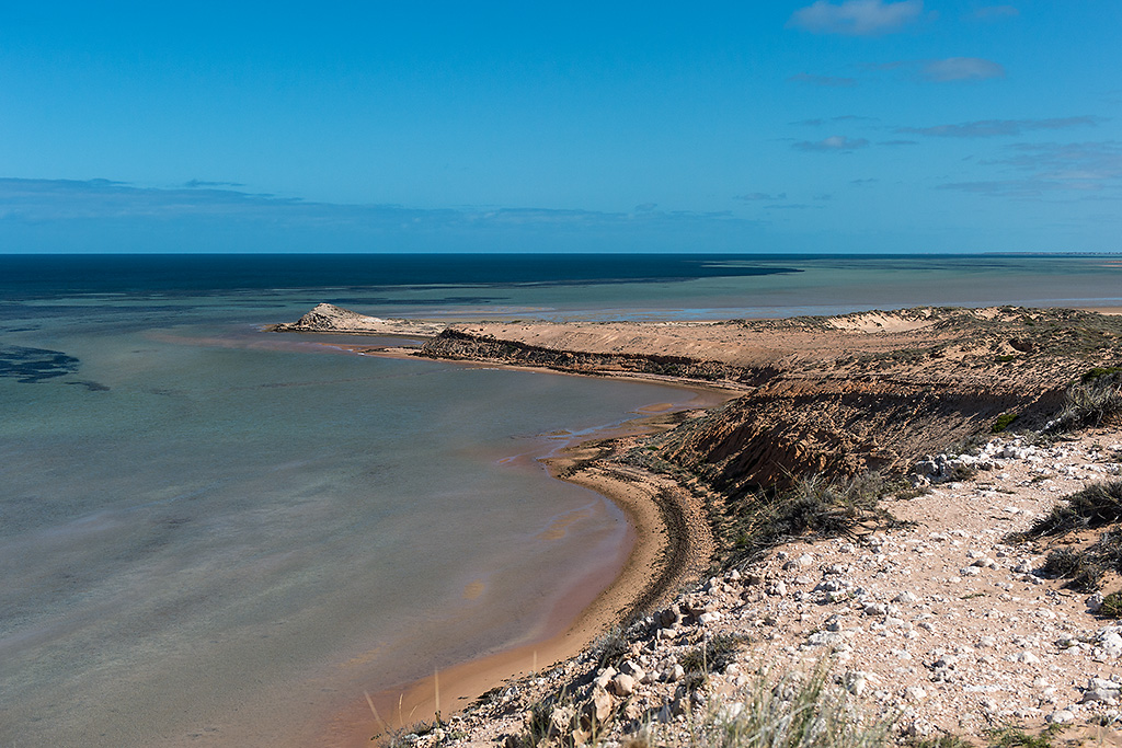 shark bay3
