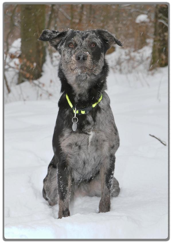 She im Schnee 3a