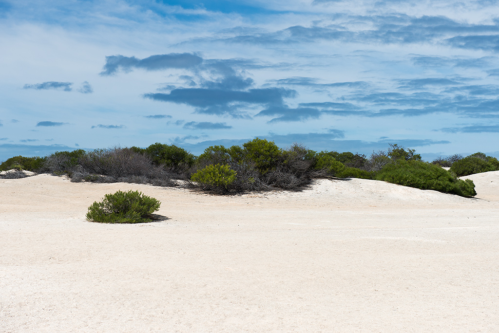 shell beach