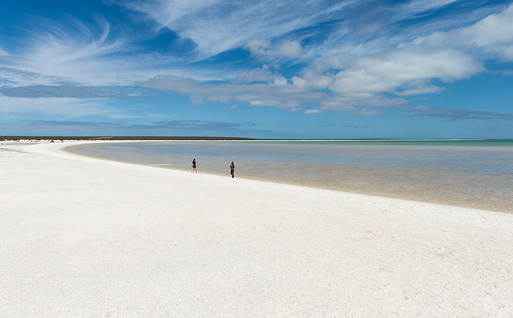 shell beach