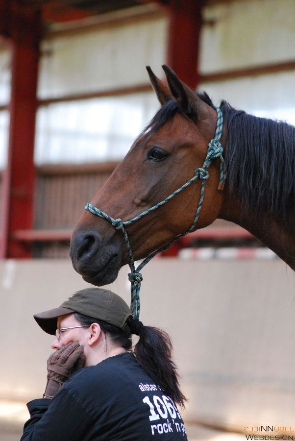 show DSC 0312