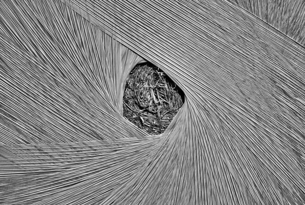 Sichtfenster BW_bearbeitet-1.jpg
