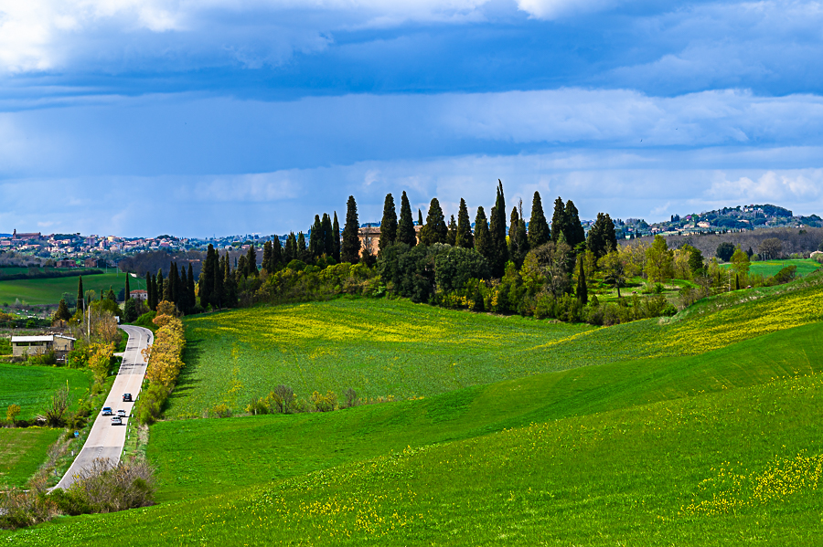Siena-2-2251.jpg