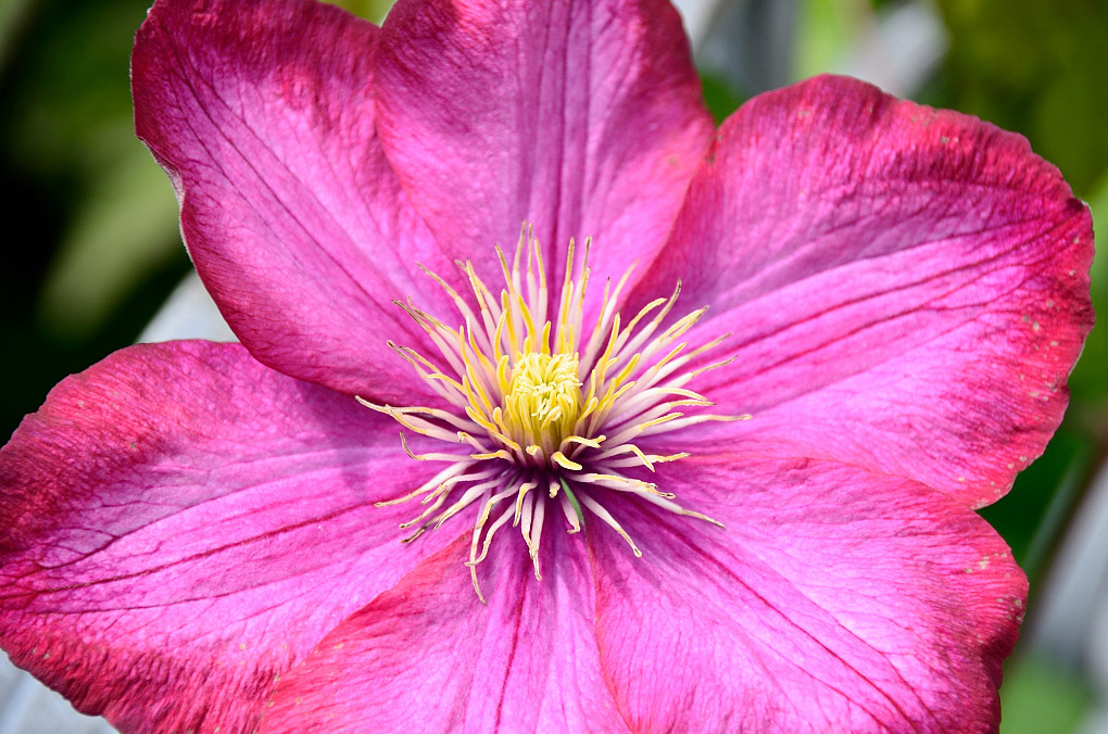 Sigma 18 200 C3334