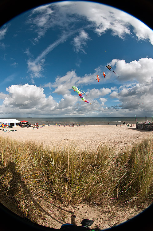 Sigma 8mm