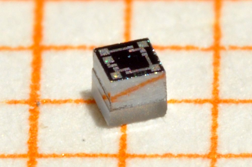 Sigma Makro 105mm mit Zwischenringen 64mm