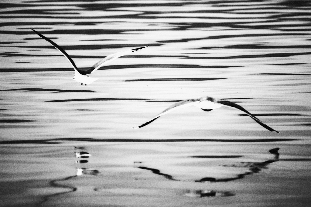 Silence @ Salton Sea