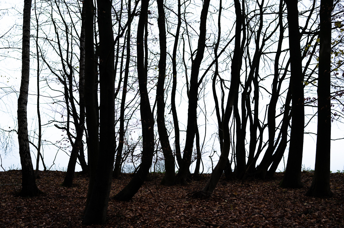 Silhouetten