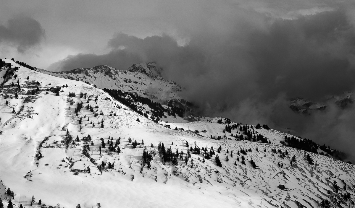 Sils-Lenzerheide-Altdorf-7027.jpg