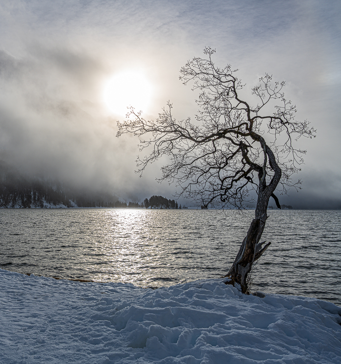 Sils Maria 2020-3000.jpg