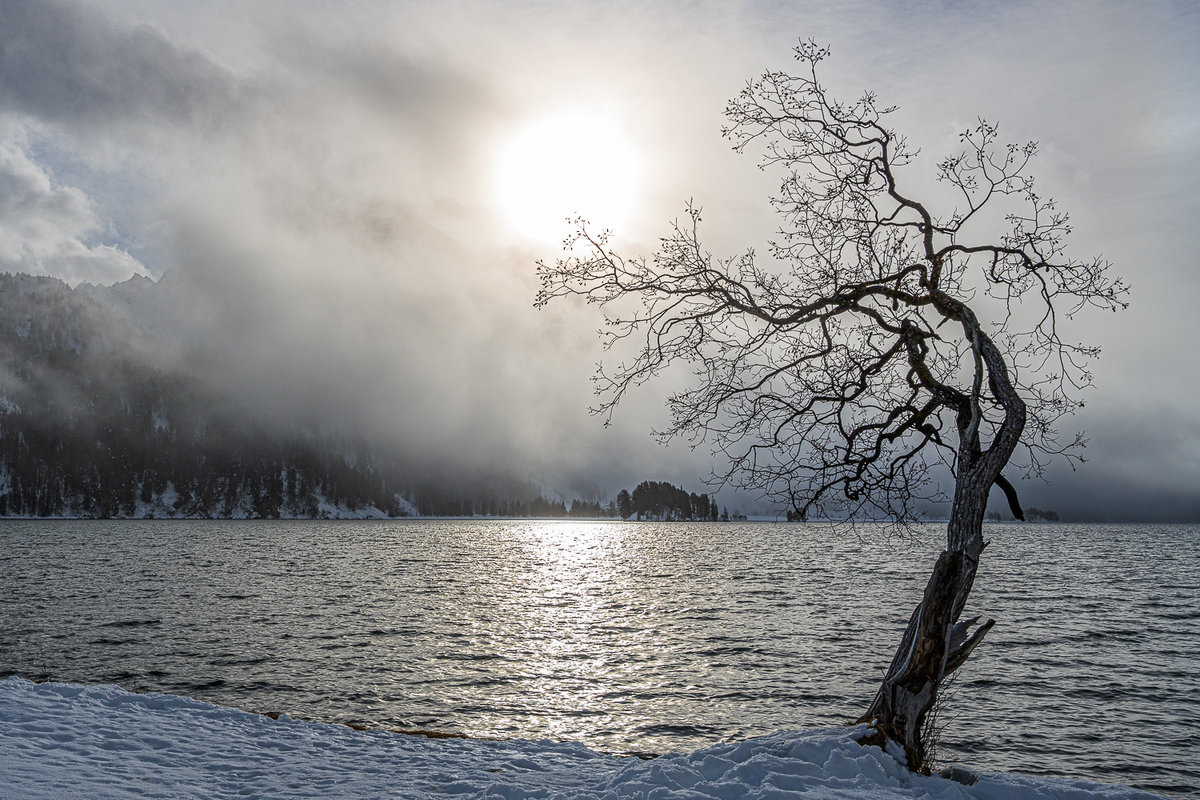 Sils Maria 2020-3000.jpg