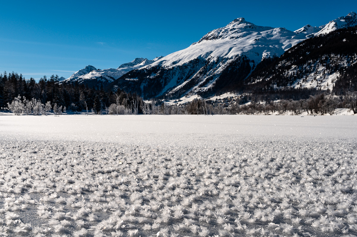 Sils Maria  Chur  St.Antönien 0183