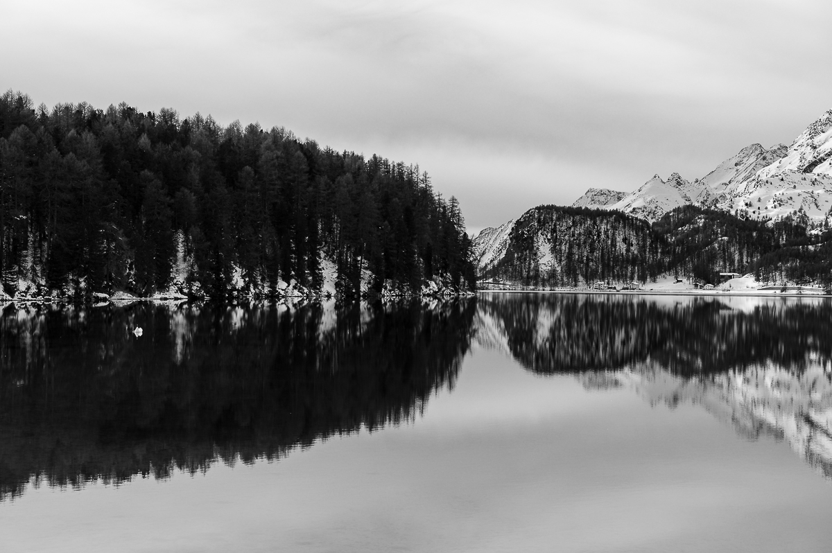 Sils Maria  Chur  St.Antönien 0240x