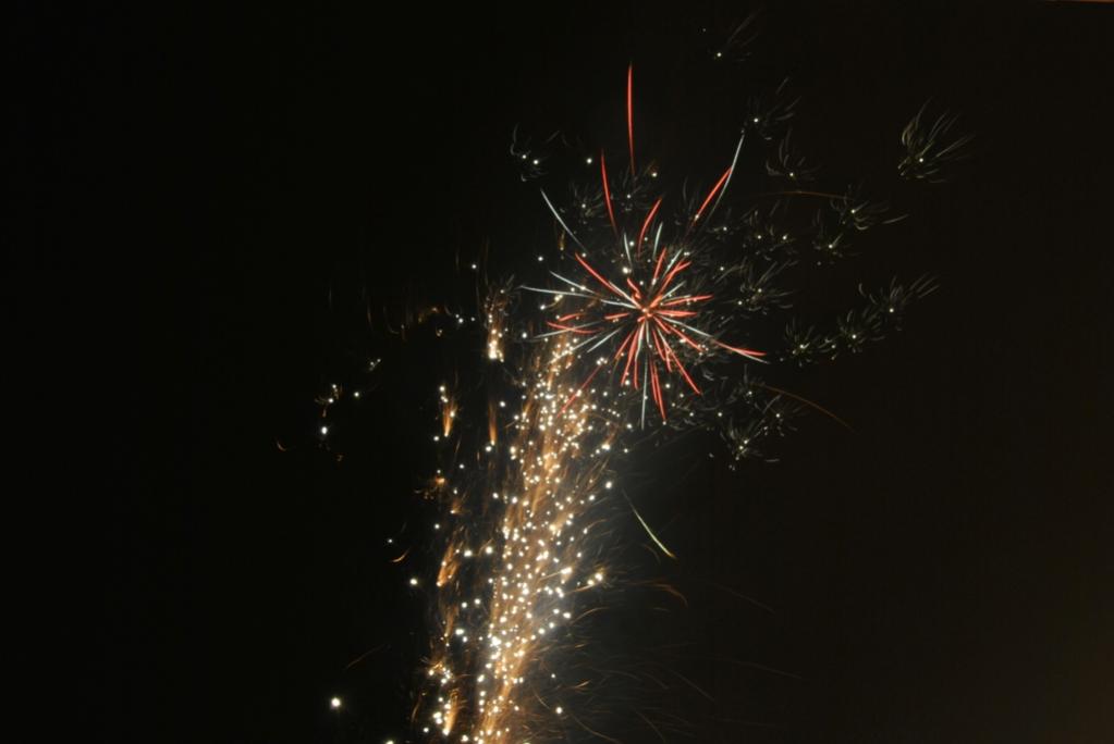 Silvester 2010 (1)
