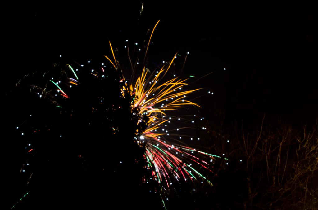 silvester